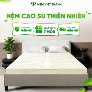 Nệm cao su thiên nhiên tại Nệm Việt Thành Nệm cao su thiên nhiên tại Nệm Việt Thành