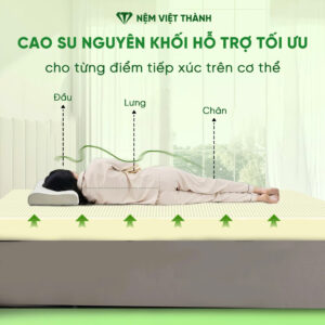 Nệm cao su thiên nhiên hỗ trợ nâng đỡ cột sống tối đa Nệm cao su thiên nhiên hỗ trợ nâng đỡ cột sống tối đa