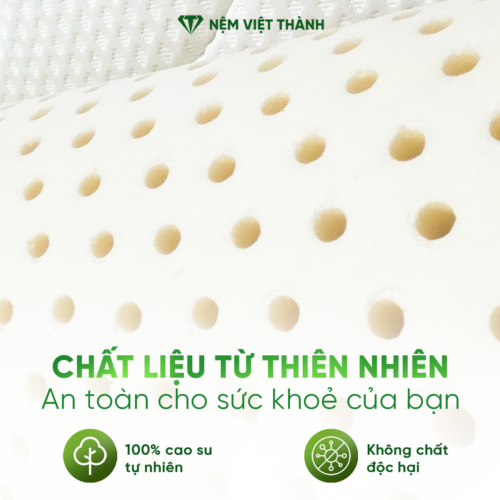 Gối Ôm Cao Su Thiên Nhiên Việt Thành 8 chat lieu TN