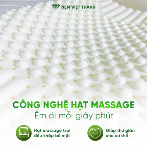 Gối Nằm Cao Su Thiên Nhiên Massage Việt Thành 4 chi tiet 1