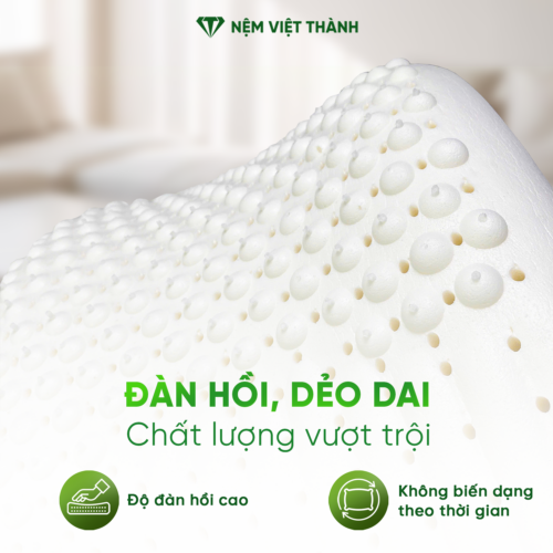 Gối Nằm Cao Su Thiên Nhiên Massage Việt Thành 5 chi tiet 2
