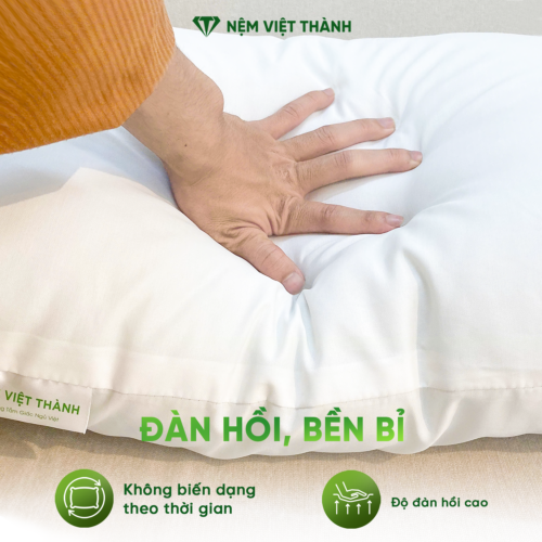 Gối Nằm Gòn Việt Thành 7 dan hoi 2