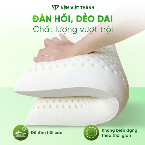 Gối Nằm Cao Su Thiên Nhiên Oval Việt Thành 4 dan hoi deo dai 3
