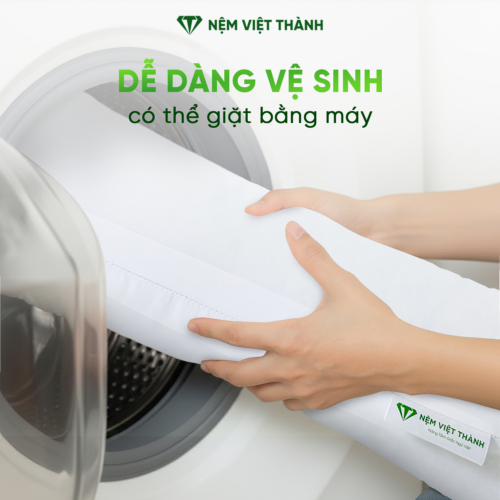 Gối Ôm Gòn Việt Thành 6 de dang ve sinh 1