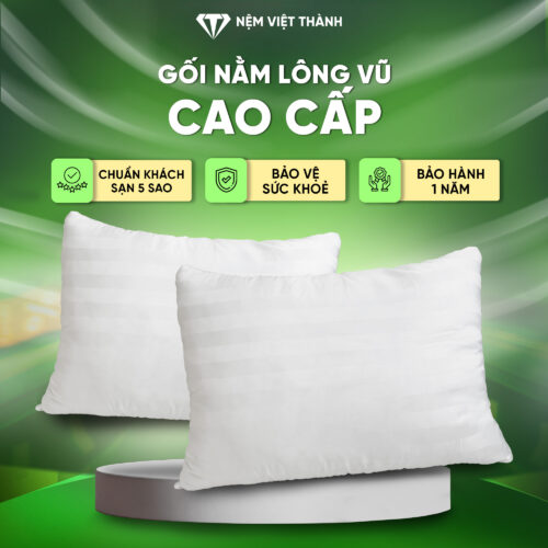 Gối Nằm Lông Vũ Việt Thành
