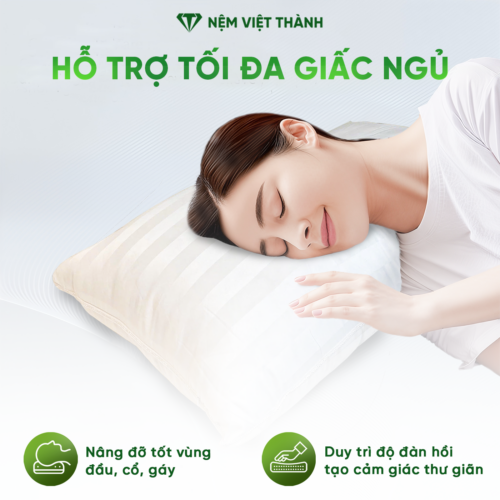 Gối Nằm Lông Vũ Việt Thành 5 ho tro giac ngu 2