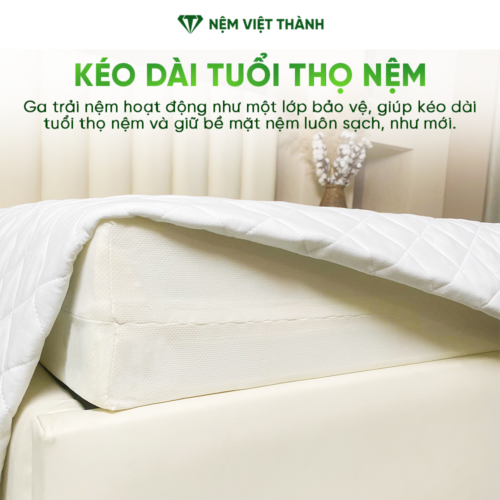 Ga Chống Thấm Nước Việt Thành 7 keo dai tuoi tho nem