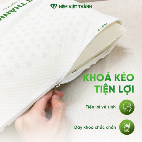 Gối Nằm Cao Su Thiên Nhiên Oval Việt Thành 6 khoa keo 4