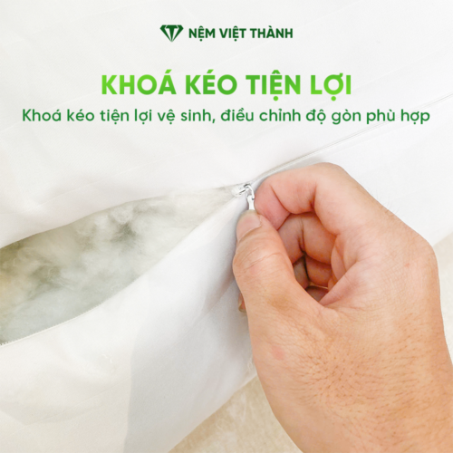 Gối Ôm Lông Vũ Việt Thành 5 khoa keo 5