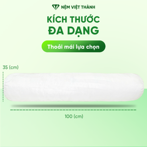 Gối Ôm Lông Vũ Việt Thành 6 kich thuoc 1