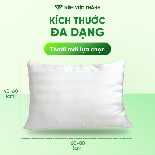 Gối Nằm Lông Vũ Việt Thành 7 kich thuoc 2