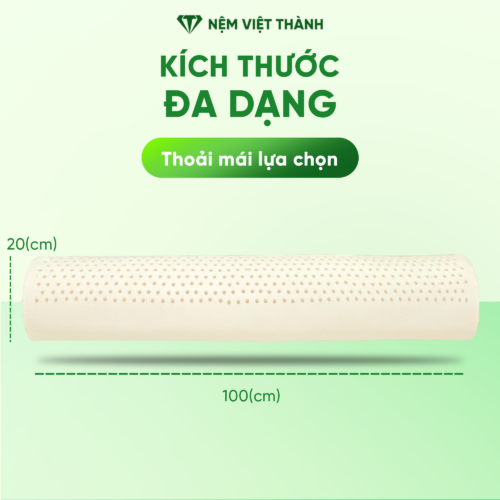 Gối Ôm Cao Su Thiên Nhiên Việt Thành 5 kich thuoc