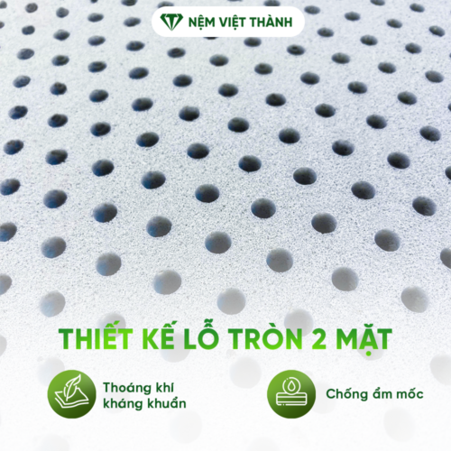 Gối Nằm Cao Su Thiên Nhiên Than Hoạt Tính Việt Thành 6 lo tron 2 mat 2