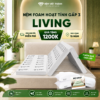 Nệm Foam Hoạt Tính LIVING Gấp 3 Việt Thành 1 nem foam hoat tinh gap 3 viet thanh 1