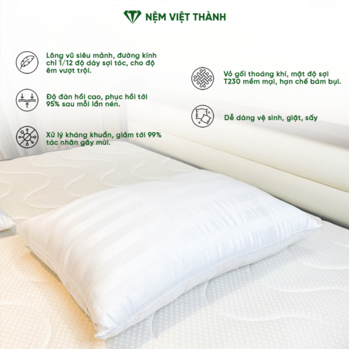 Gối Nằm Lông Vũ Việt Thành 9 tong quan 1