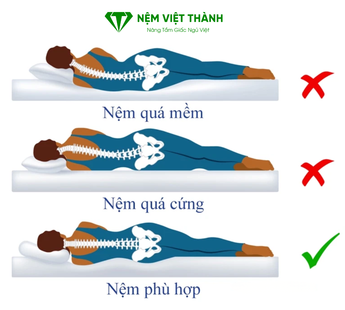 Nệm phù hợp với cột sống tránh bị đau lưng