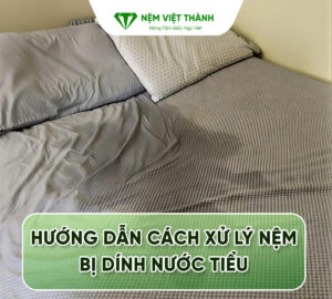 Nệm bị dính nước tiểu