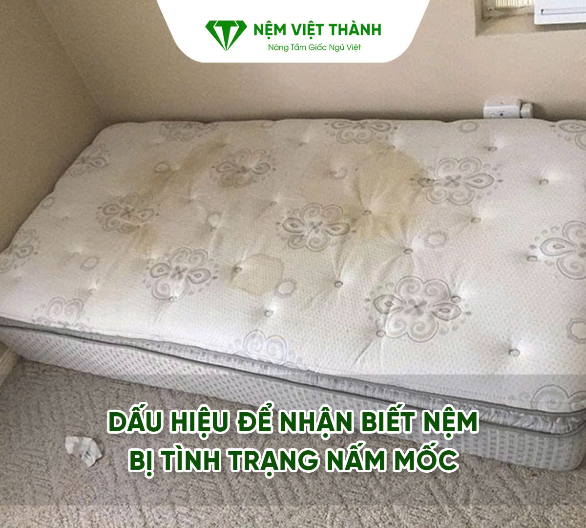 Cách để nhận biết nệm của bạn đang trong tình trạng ấm mốc