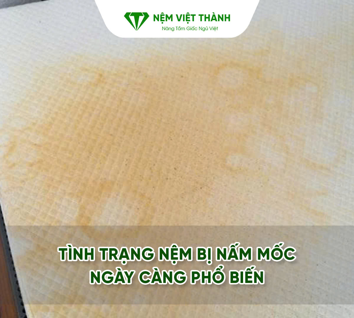 Hình ảnh nệm bị nấm mốc xảy ra trên các dòng nệm trên thị trường
