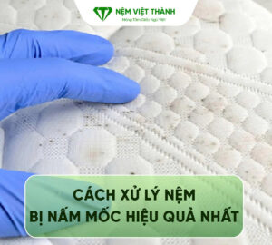 Nệm bị nấm mốc