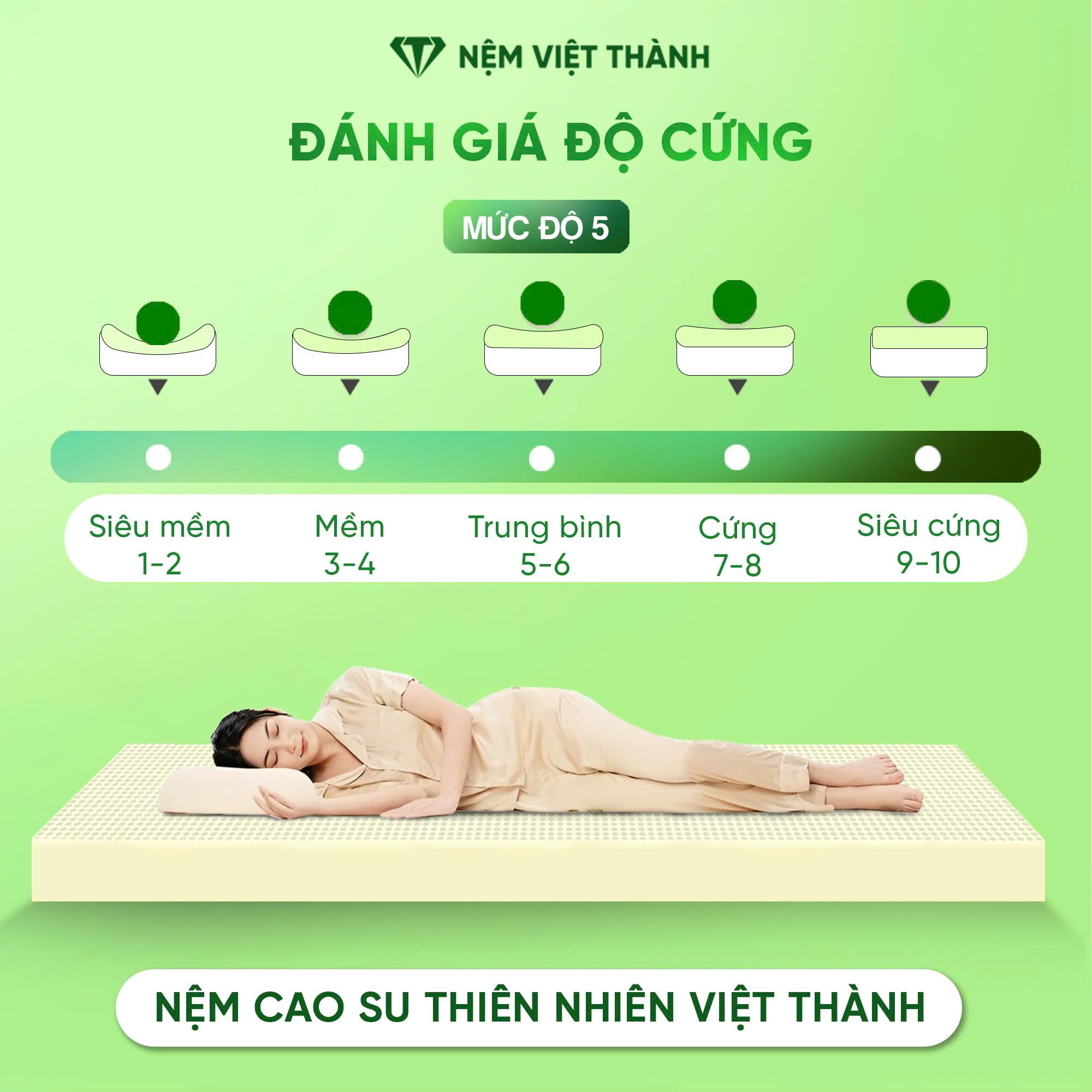 Nệm cao su thiên nhiên Việt Thành độ cứng Nệm cao su thiên nhiên Việt Thành độ cứng