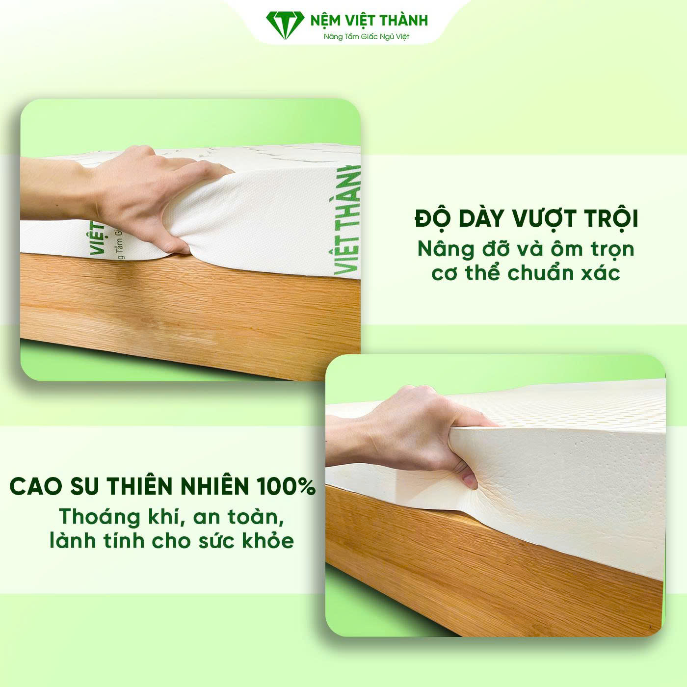 Nệm cao su thiên nhiên Việt Thành độ dày vượt trội Nệm cao su thiên nhiên Việt Thành độ dày vượt trội