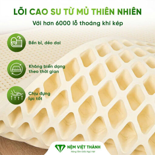 Nệm cao su thiên nhiên Việt Thành với hơn 6000 lỗ thoáng khí kép