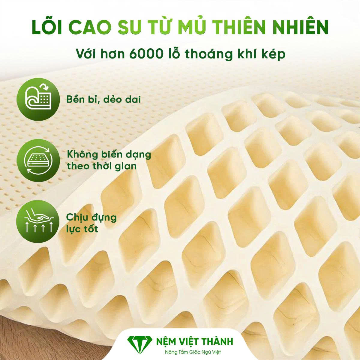 Nệm cao su thiên nhiên Việt Thành với hơn 6000 lỗ thoáng khí kép Nệm cao su thiên nhiên Việt Thành với hơn 6000 lỗ thoáng khí kép