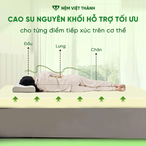 Nệm Cao Su Thiên Nhiên Queen Việt Thành 4 Nệm cao su thiên nhiên Việt Thành hỗ trợ cơ thể