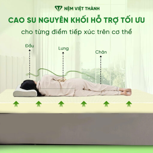 Nệm cao su thiên nhiên Việt Thành hỗ trợ cơ thể
