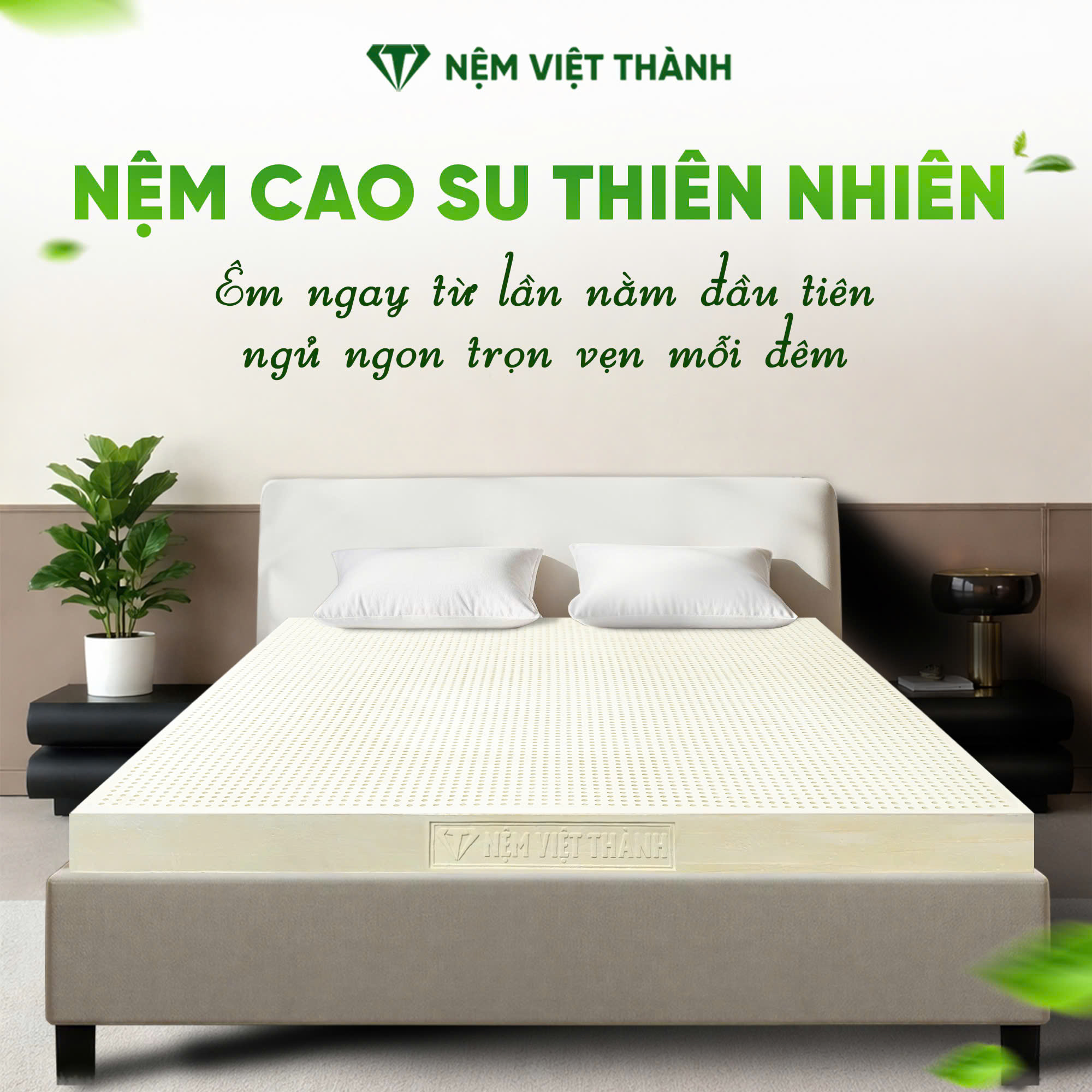 Nêm cao su thiên nhiên việt thành