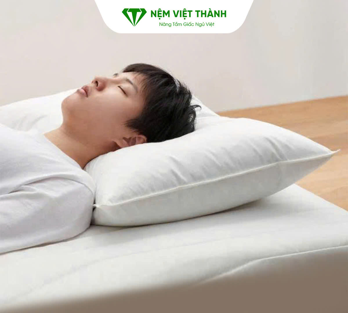 Gối nào nằm êm nhất hiện nay