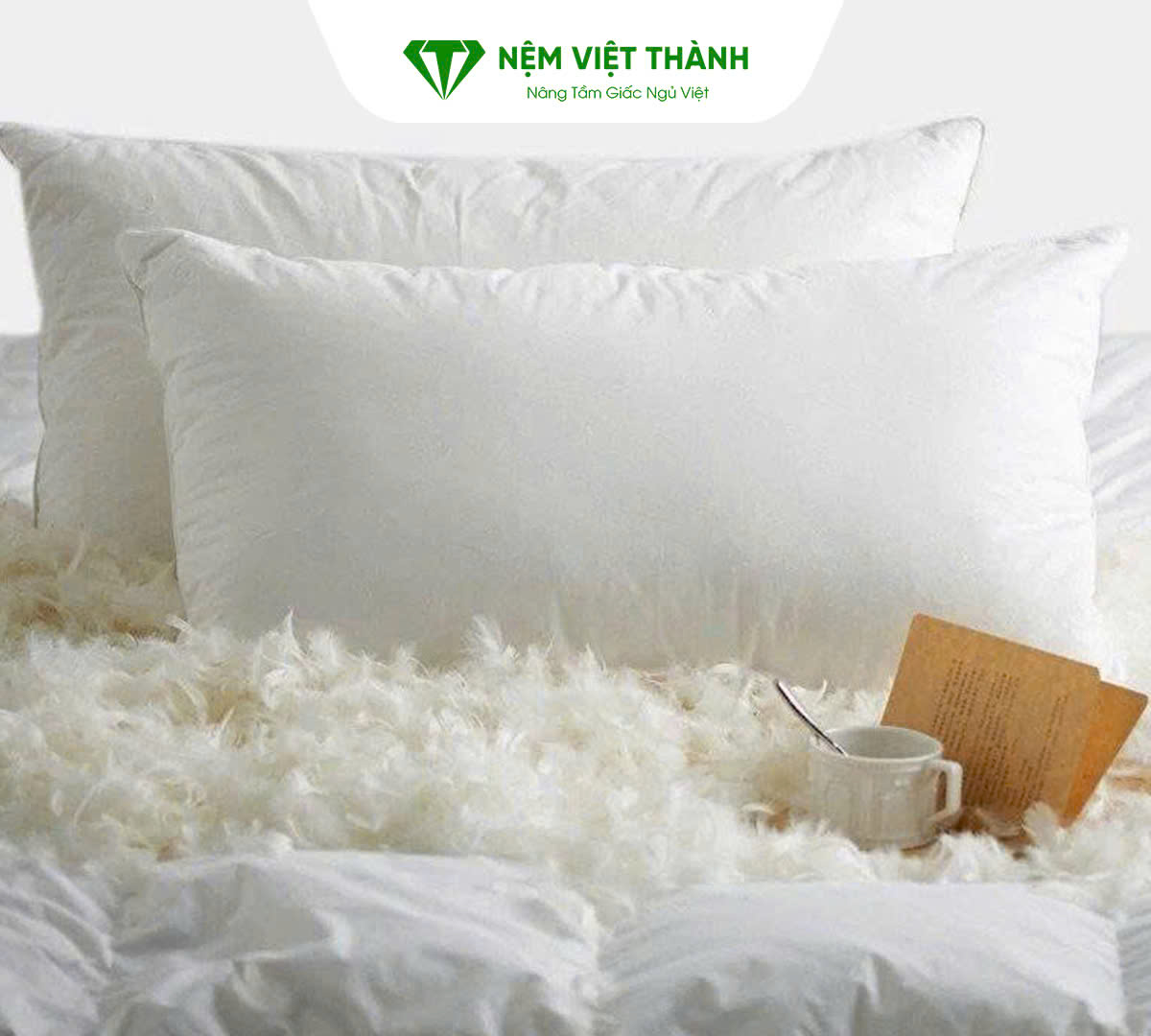 Gối lông vũ là loại gối mềm mại, nhưng giá thành chúng khá đắt