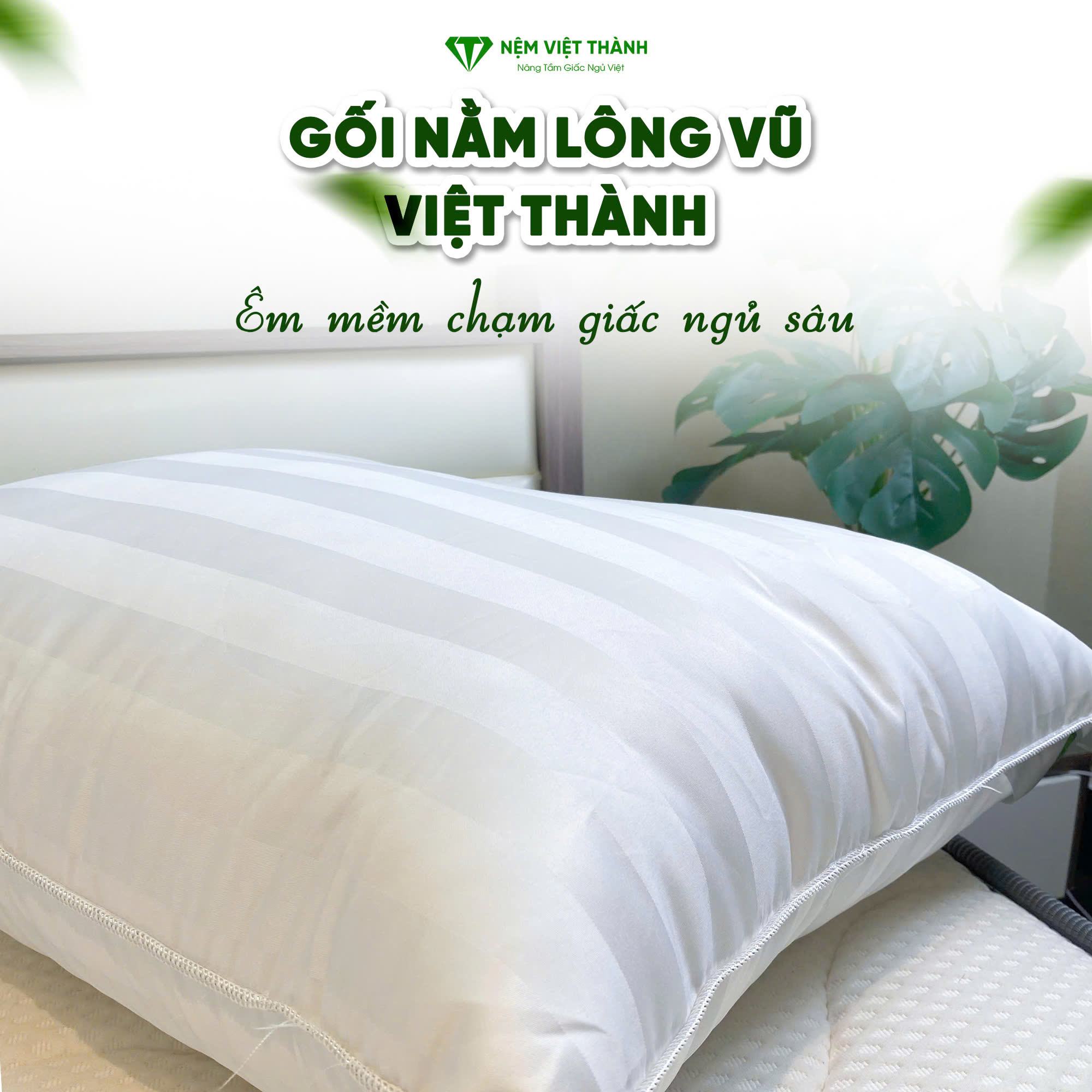 Gối lông vũ Việt Thành