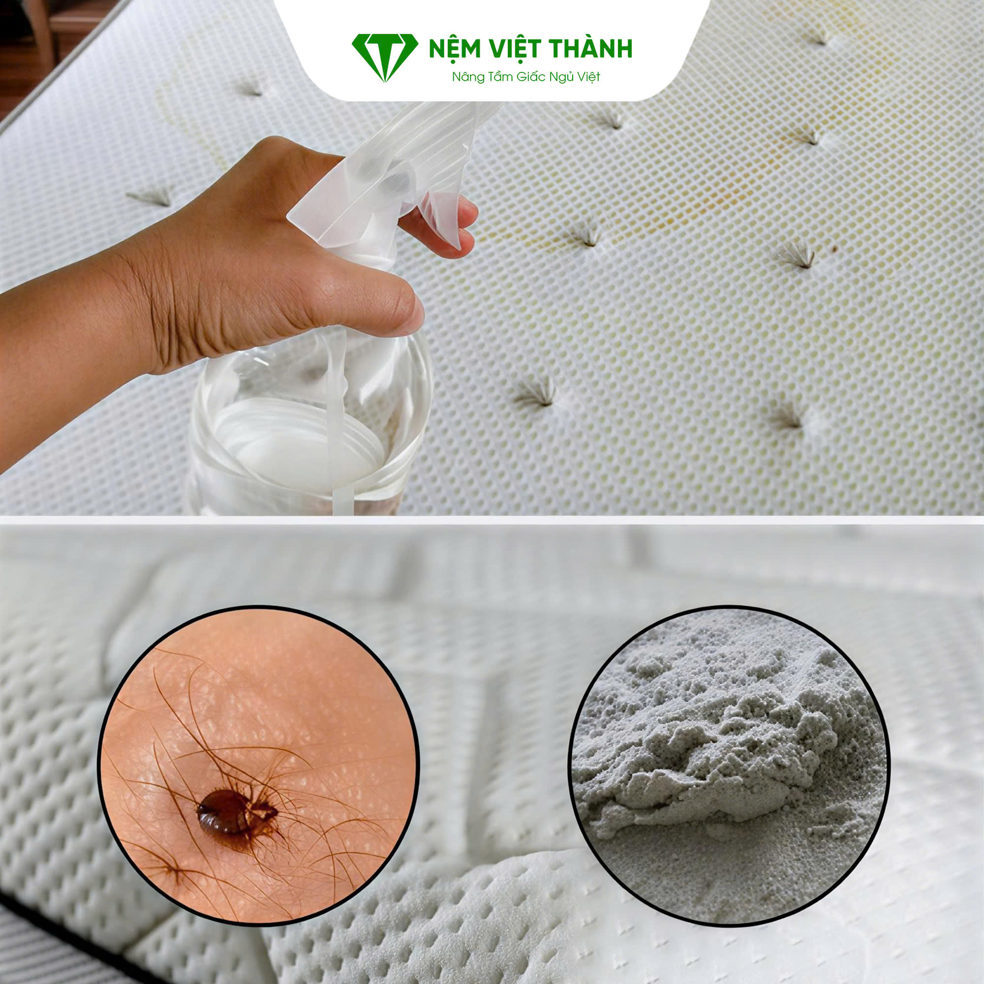 Cần kiểm soát lượng dung dịch khi vệ sinh nệm bị dính nước tiểu