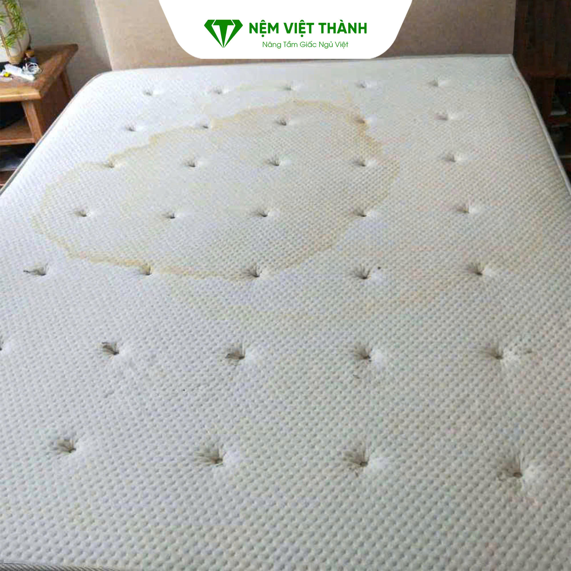 Nệm bị dính nước tiểu rất làm ảnh hưởng đến bề mặt nệm
