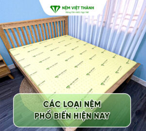 Các loại nệm phổ biến