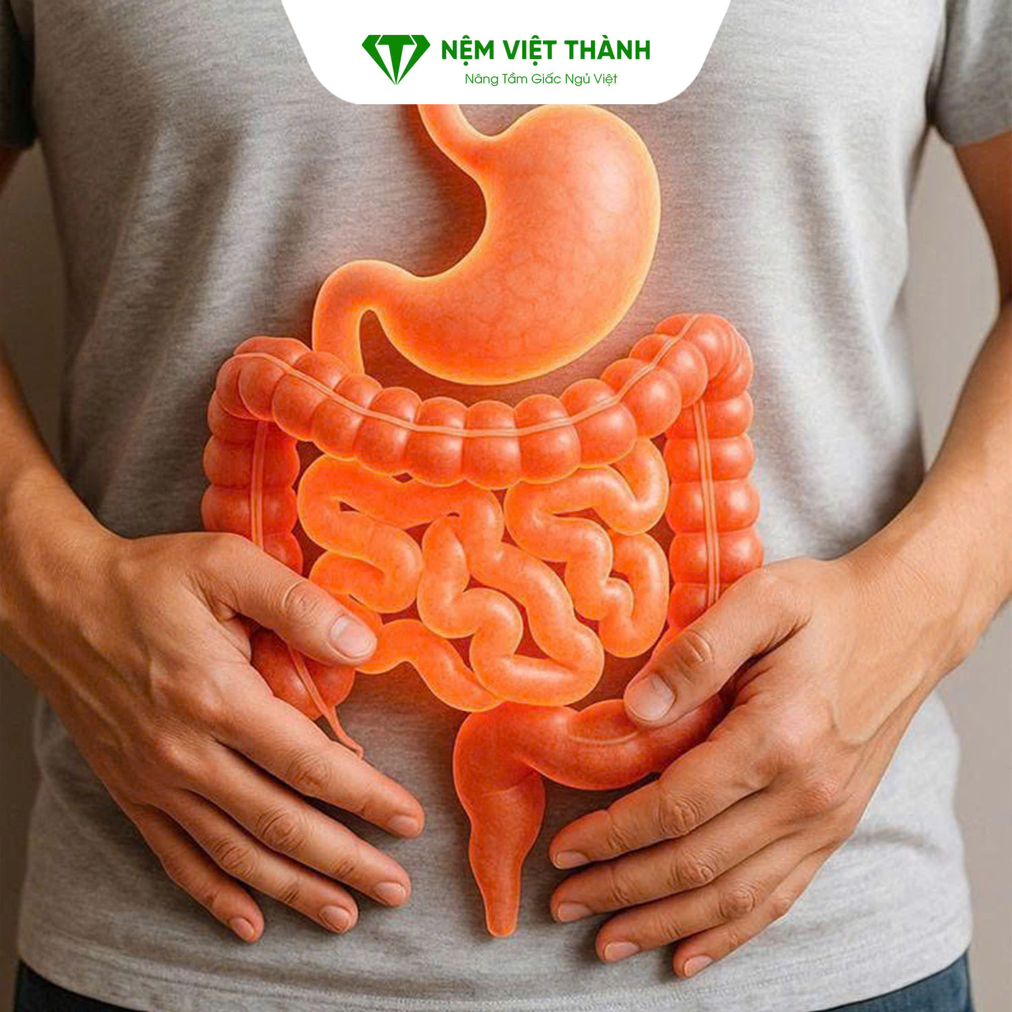 Thiếu ngủ làm suy yếu chức năng tiêu hóa và hấp thụ dinh dưỡng