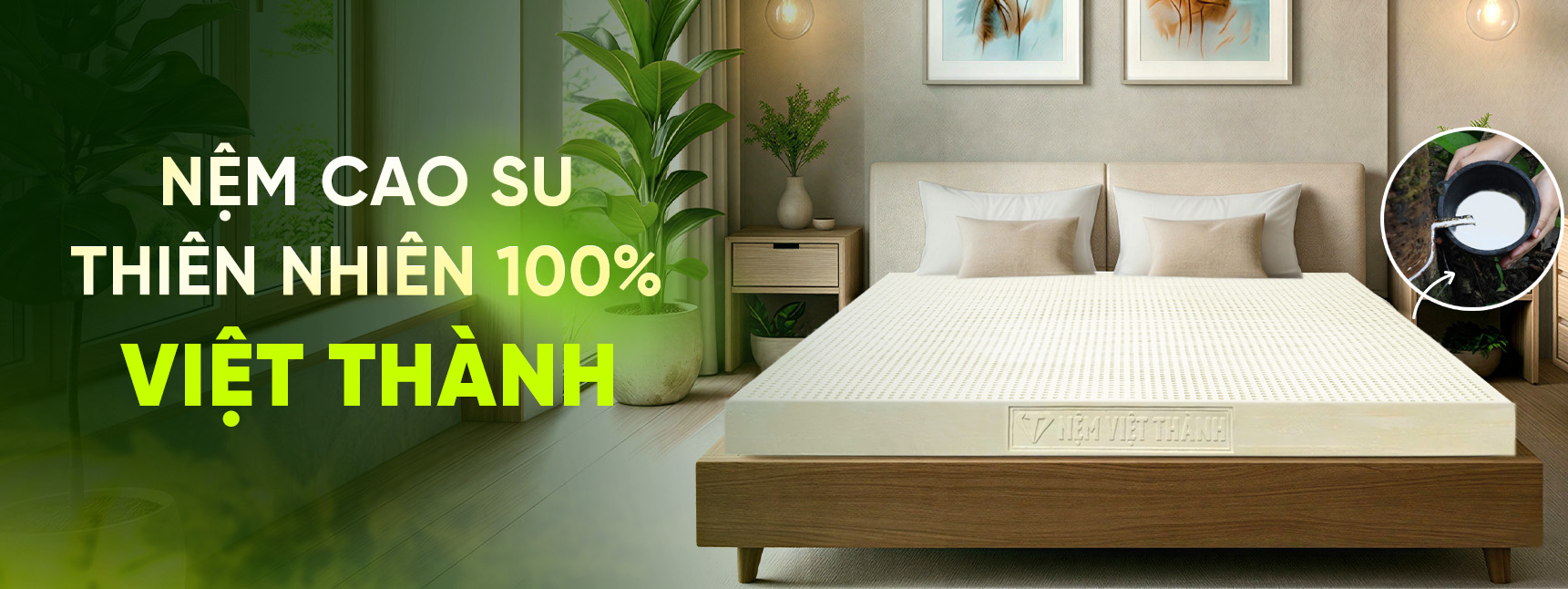 banner phu trang chu cao su thien nhien 1