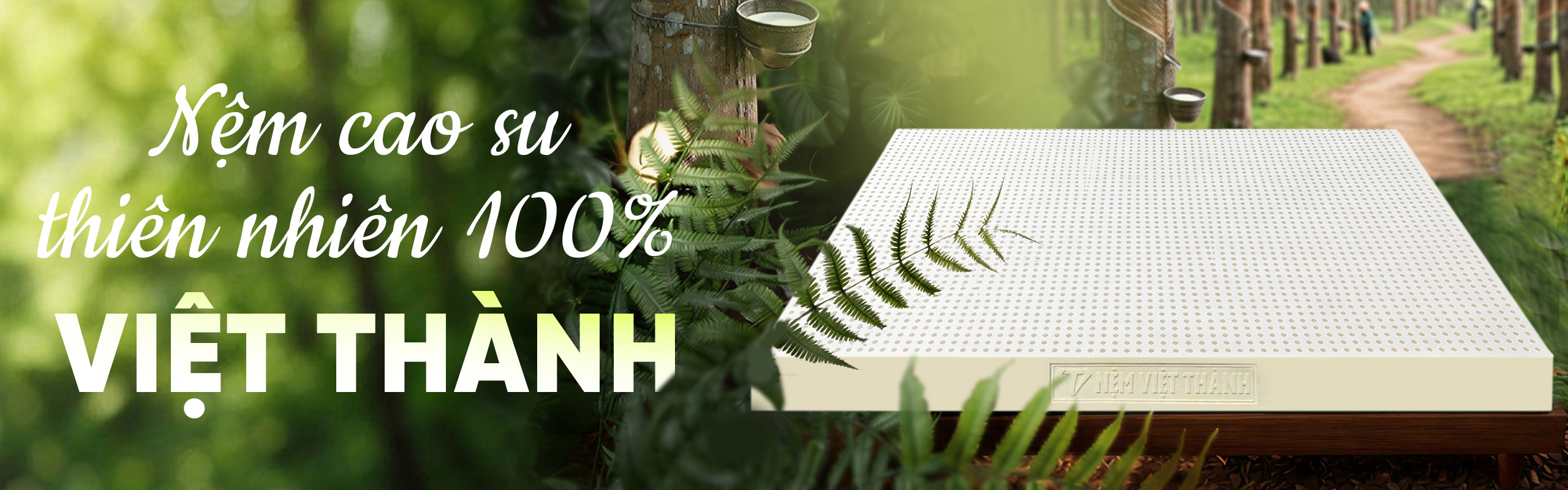 banner trang chu nem viet thanh 2