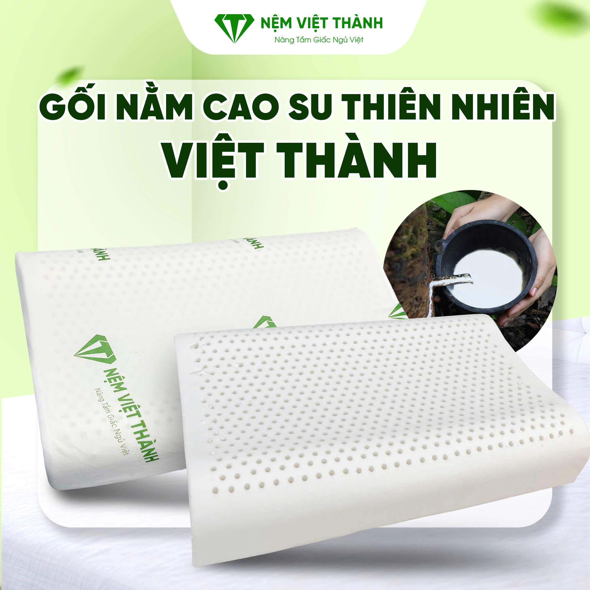 Gối nằm cao su thiên nhiên Việt Thành Gối nằm cao su thiên nhiên Việt Thành