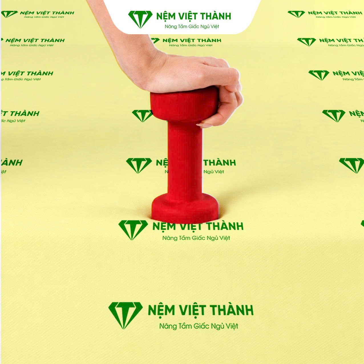 Độ êm ái và đàn hồi tốt