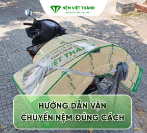 Huong dan van chuyen nem dung cach