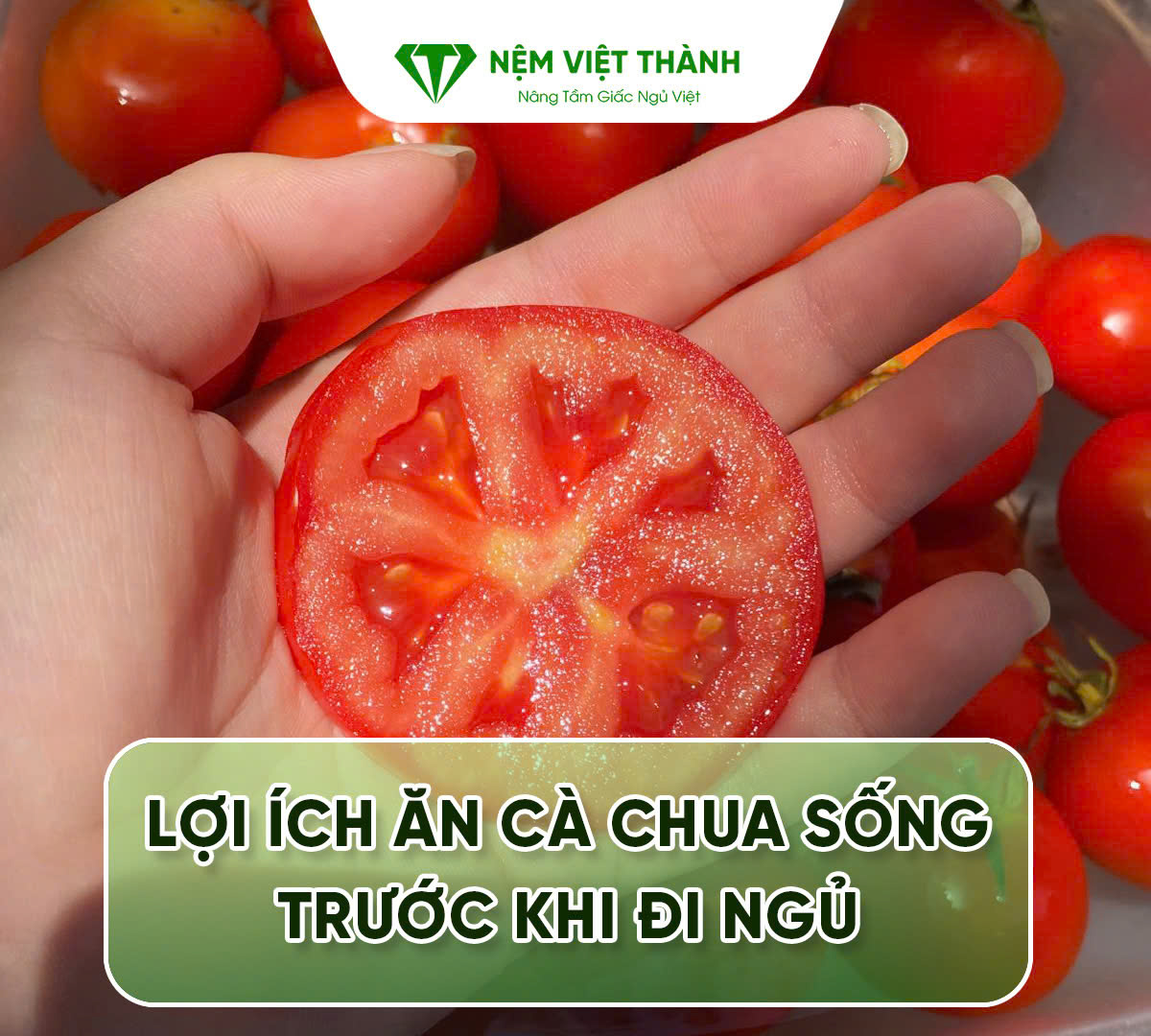 an ca chua song truoc khi di ngu 1 1