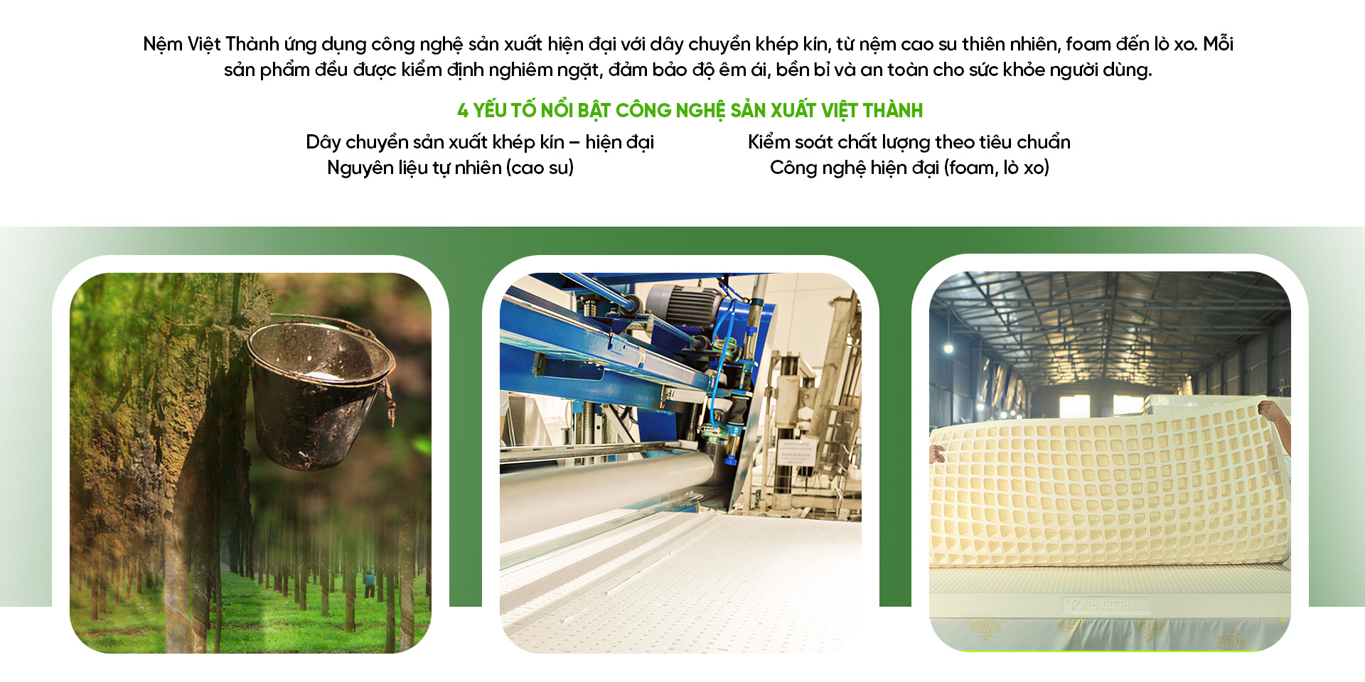 cong nghe san xuat nem viet thanh