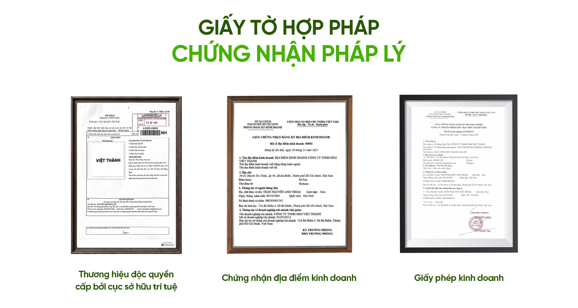 giay phep kinh doanh nem viet thanh