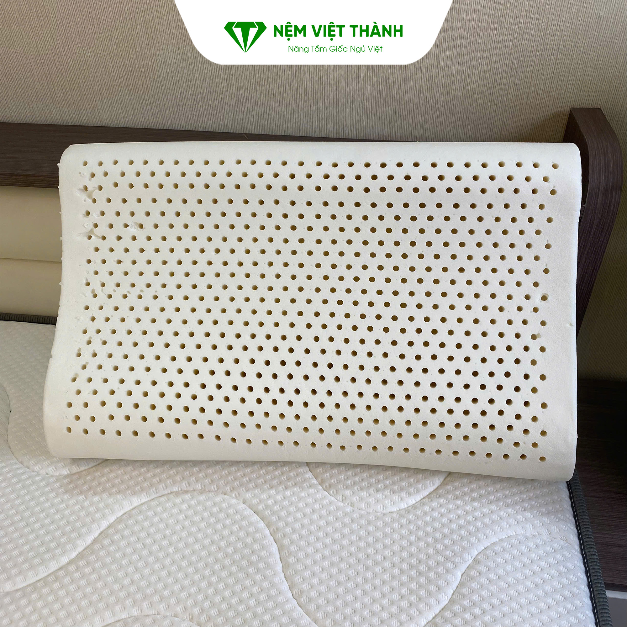 Phơi lõi gối cao su non nơi thoáng mát để loại bỏ ẩm Phơi lõi gối cao su non nơi thoáng mát để loại bỏ ẩm