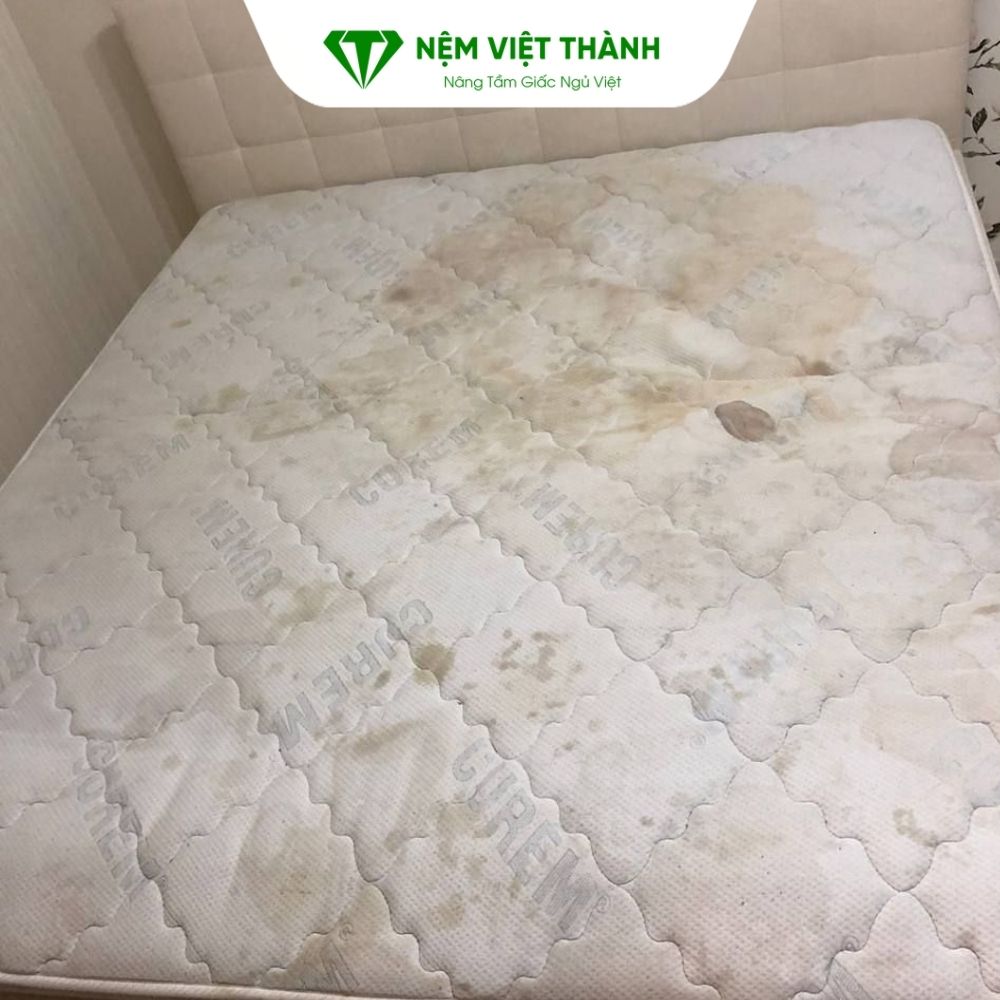 Cách vệ sinh đệm bông ép khi bị bám bụi và ố bẩn lâu ngày
