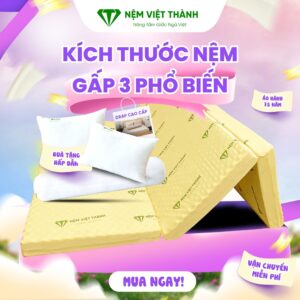 kich thuoc nem gap 3 1