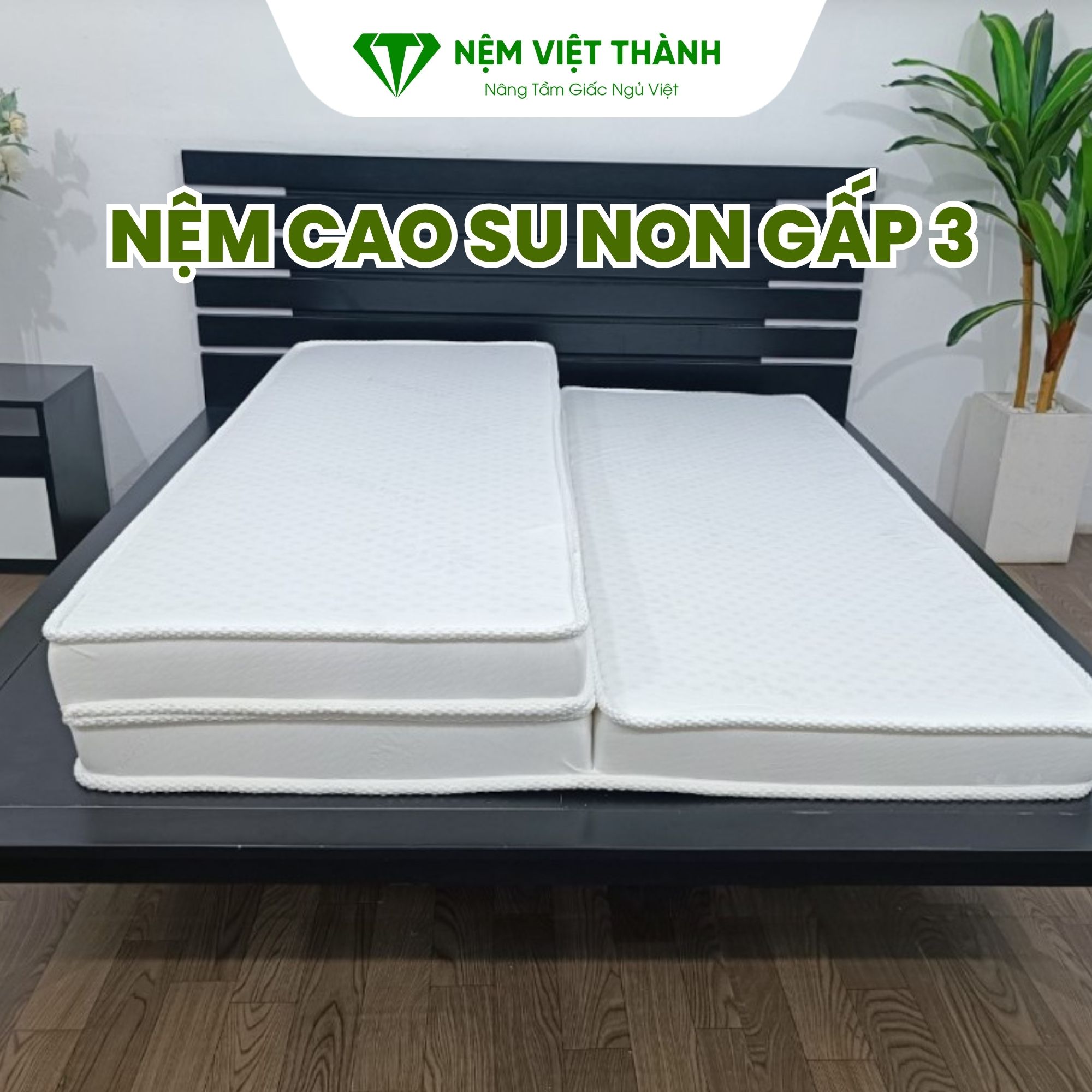 Nệm cao su non gấp 3